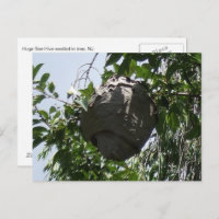 La ruche d'abeilles Hornet Nichée dans l'arbre