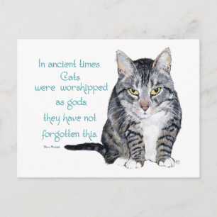 Carte Postale La sagesse des chats - dans les temps anciens, les
