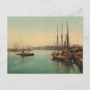 Carte Postale La Savannah