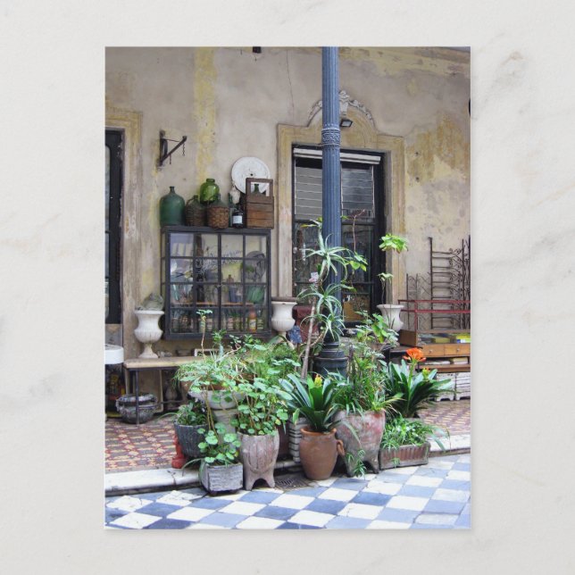 Carte Postale La scène de Buenos Aires avec des Plantes verts da (Devant)