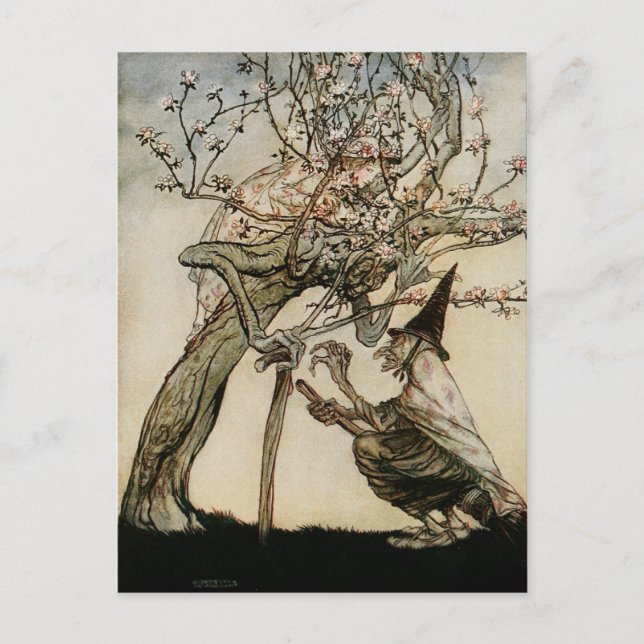 Carte Postale La sorcière et l'arbre de la vieille dame 1922 (Devant)