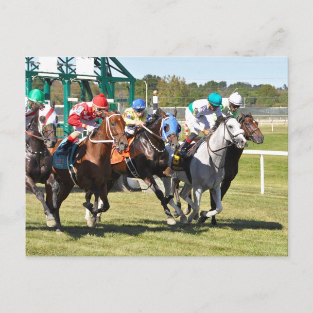 Carte Postale La soupe alphabet 2017 (Devant)