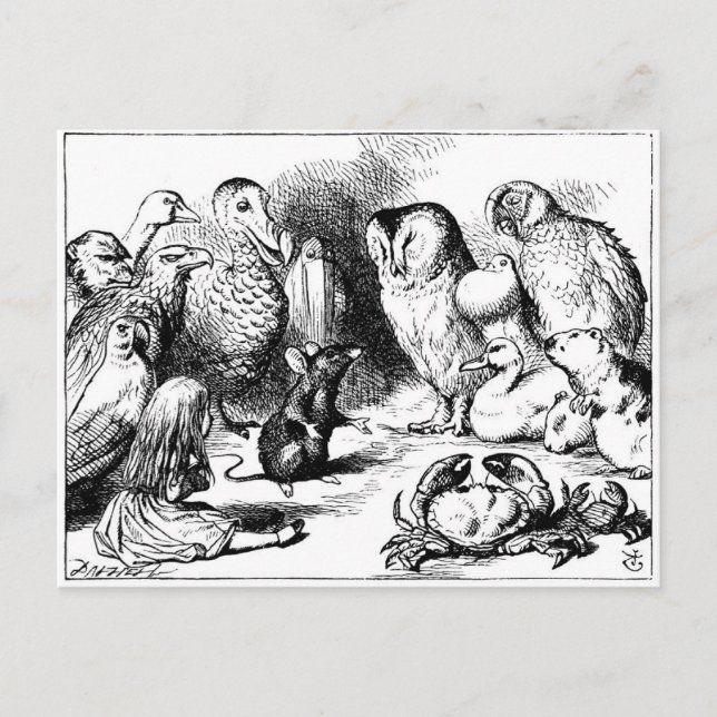 Carte Postale La souris et l'histoire sèche (Devant)