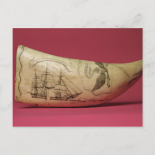 Carte Postale La Susan sur la côte du Scrimshaw japonais