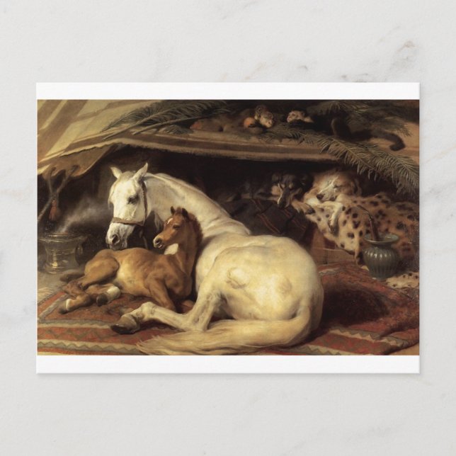Carte Postale La tente arabe par Edwin Henry Landseer (Devant)