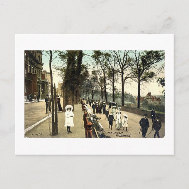 Carte Postale, La Terrasse, Richmond, Surrey (Devant)