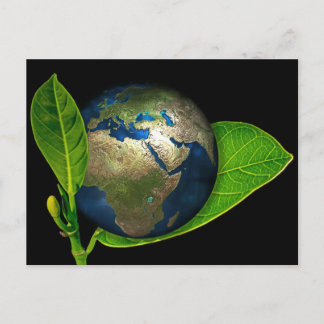 CARTE POSTALE LA TERRE EST NÉE