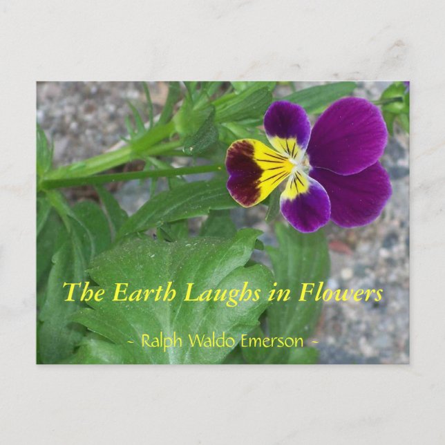 CARTE POSTALE LA TERRE RIME EN FLEURS - VIOLA (Devant)