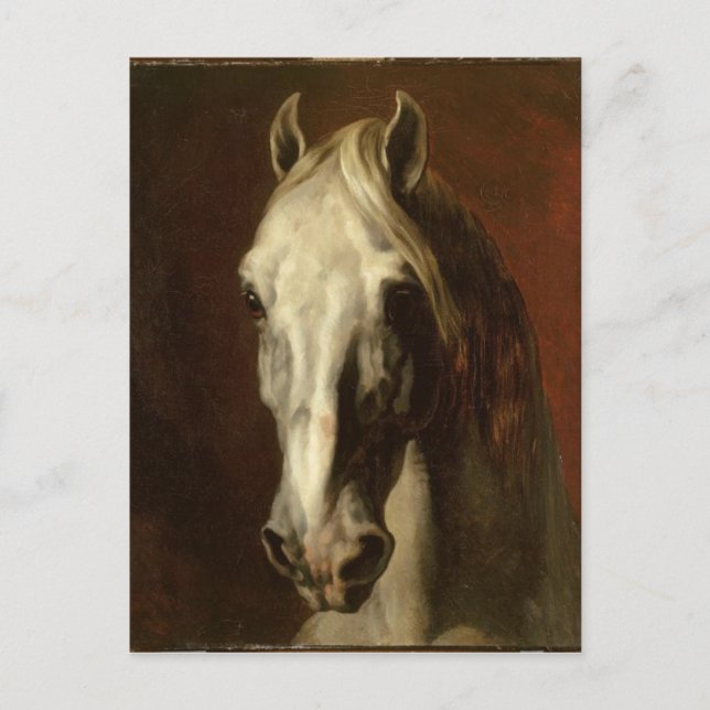 Carte Postale La tête du cheval blanc par Theodore Gericault (Devant)