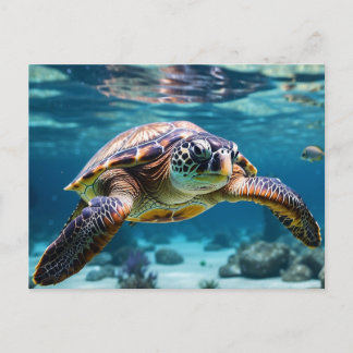 Carte Postale La tortue de mer dans l'océan