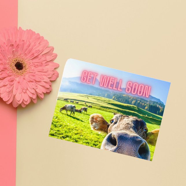 Carte Postale La vache drôle va bien bientôt (These postcards are thick stock, making them perfect for framing and adding to a bedside table!)