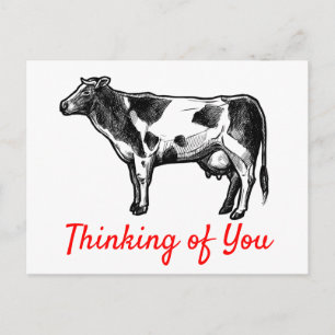 Carte Postale La vache pense à toi Bonjour Mlle Vous Fermier