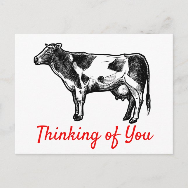 Carte Postale La vache pense à toi Bonjour Mlle Vous Fermier (Devant)