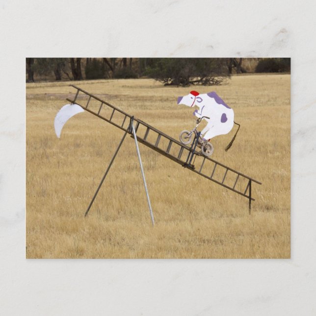 Carte Postale La Vache S'Est Jumelée Au-Dessus De La Lune (Devant)