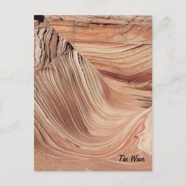 Carte Postale La vague (Devant)
