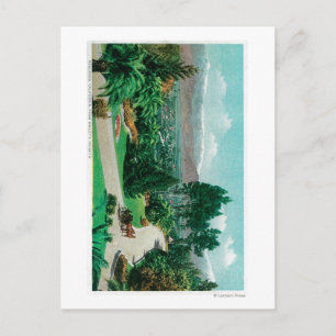 Carte Postale La vallée des Redlands et les vergers de Smiley's