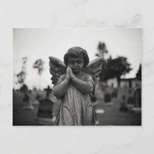 Carte Postale La vie après la mort