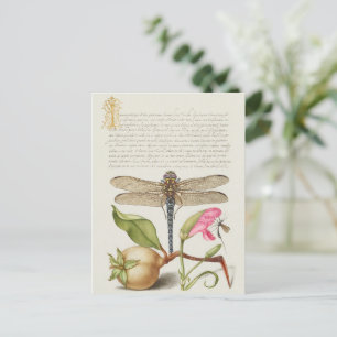 Carte Postale La vie du jardin, Libellule, Poire, Œillet et Inse