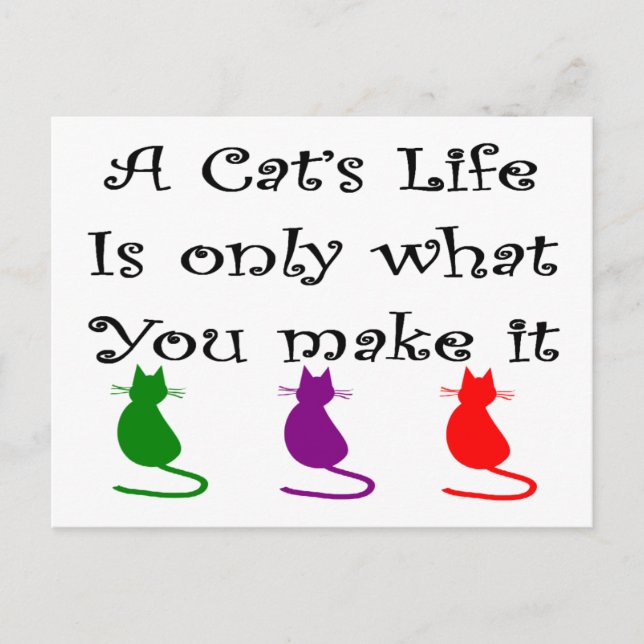 Carte Postale La vie d'un chat n'est que ce que vous faites... (Devant)