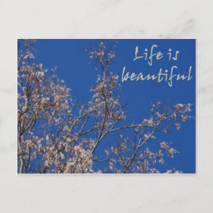 Carte Postale La vie est belle