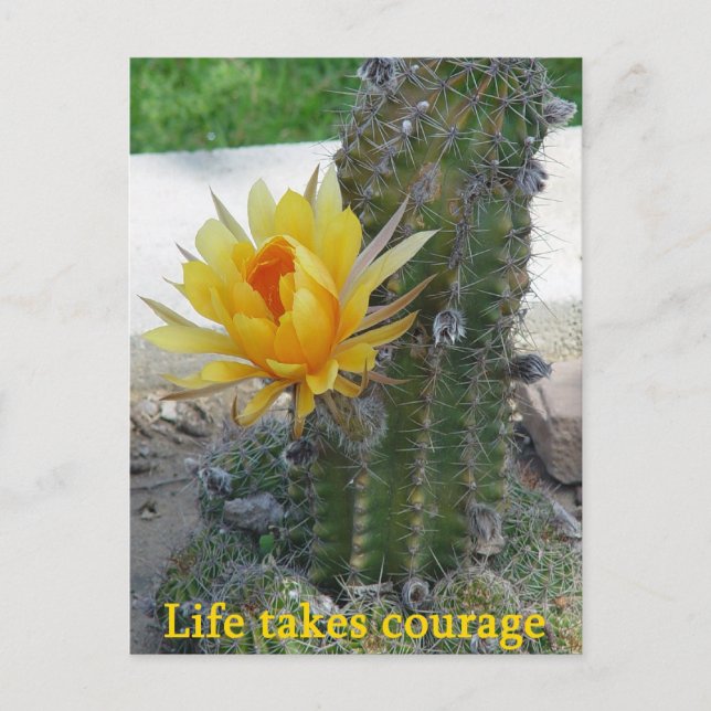 Carte Postale La vie prend courage (Devant)