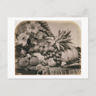Carte Postale La vie toujours avec le fruit, 1860 (photo de