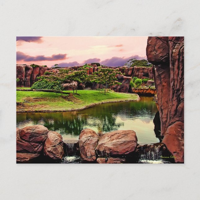 Carte Postale La vue (Devant)