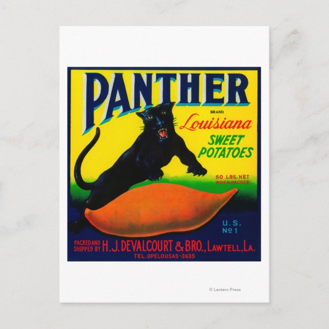 Carte Postale Label Panther Yam Lawtell, LA (Devant)