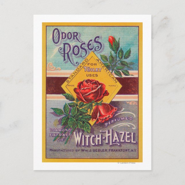 Carte Postale Label Rose de sorcière-HazelFrankfort, NY (Devant)