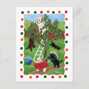 Carte Postale Laboratoires d'arbre d'Apple (point)