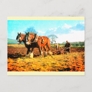 Carte Postale Labour agricole ancien