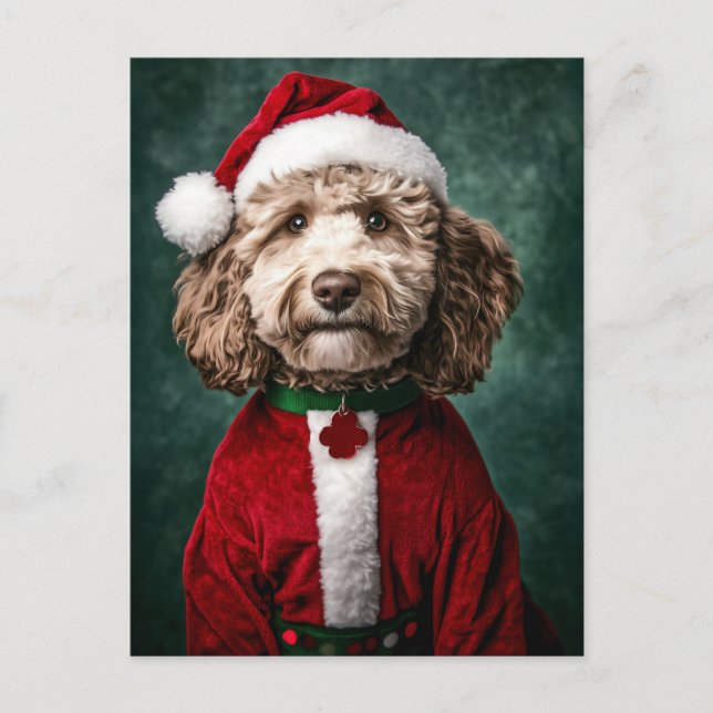 Carte Postale Labradoodle en tenue de Noël festive (Devant)