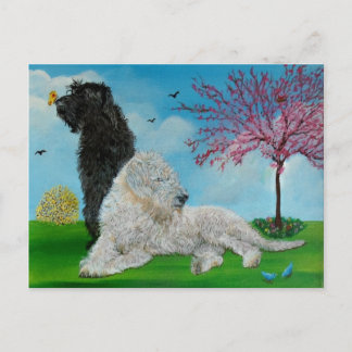Carte Postale Labradoodle Spring