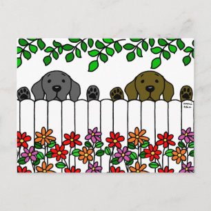 Carte Postale Labrador Duo vous regarde