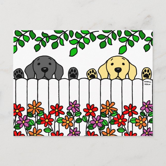 Carte Postale Labrador Duo vous regarde (Devant)