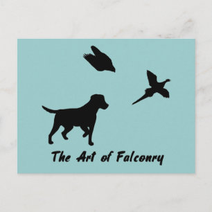 Carte Postale Labrador et Falconry