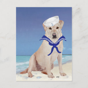 Carte Postale Labrador jaune Marin