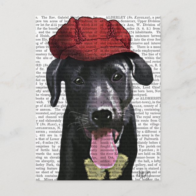 Carte Postale Labrador Noir avec Casquette rouge (Devant)