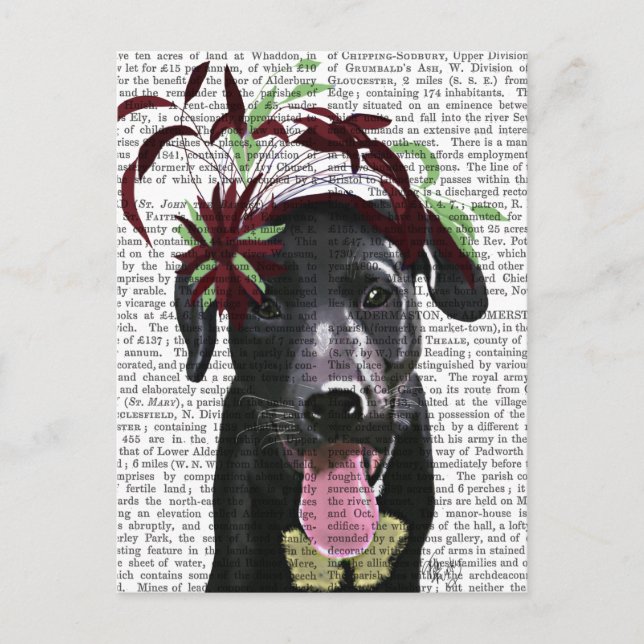 Carte Postale Labrador Noir Avec Fascinateur Vert (Devant)