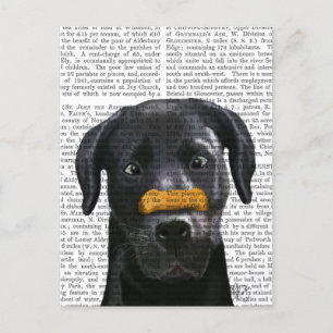 Carte Postale Labrador noir avec os sur le nez