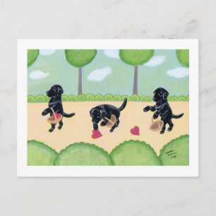 Carte Postale Labrador noir dans la forêt
