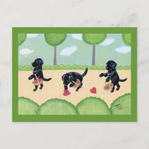 Carte Postale Labrador noir dans la forêt