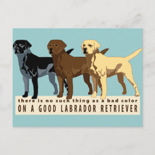 Carte Postale Labrador Retriever 3 couleurs