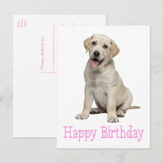 Carte Postale Labrador Retriever chiot labrador jaune Anniversai