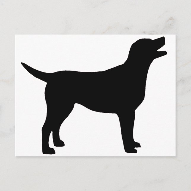 Carte Postale Labrador Retriever (en noir) (Devant)