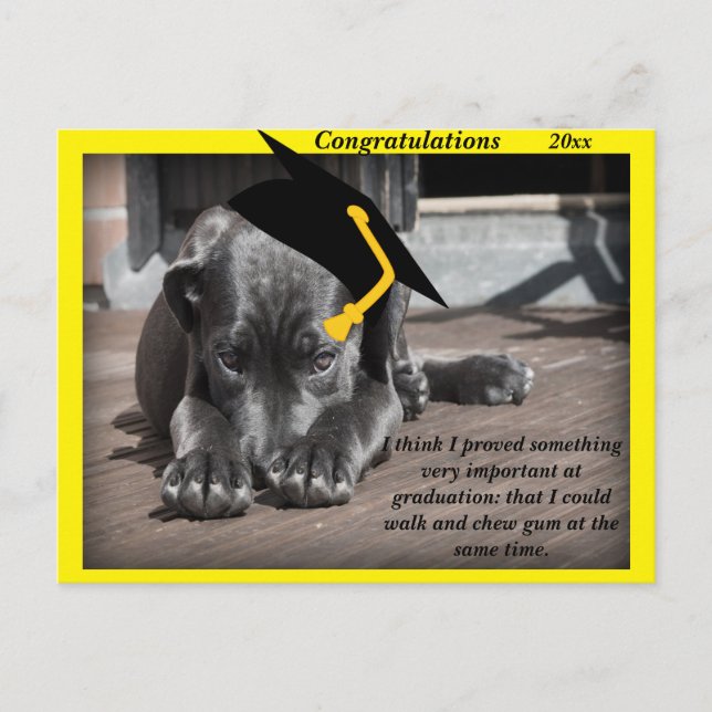 Carte Postale Labrador Retriever jaune casquettes de félicitatio (Devant)