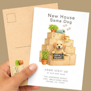 Carte Postale Labrador Retriever Nouvelle Maison Déménagement
