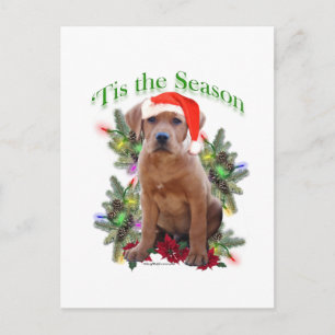 Carte Postale Labrador Retriever " Tis
