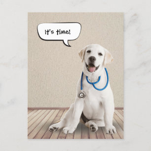 Carte Postale Labrador Retriever Wistéthoscope