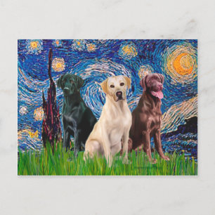 Carte Postale Labradors (3) - Nuit étoilée